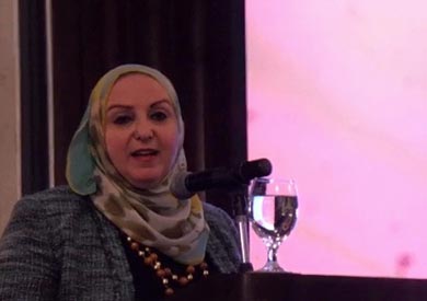 عادلة رجب، المستشار الاقتصادى لوزير السياحة